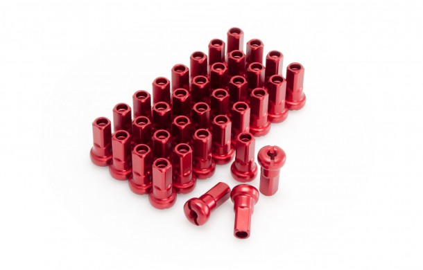 W31-P3363_Red