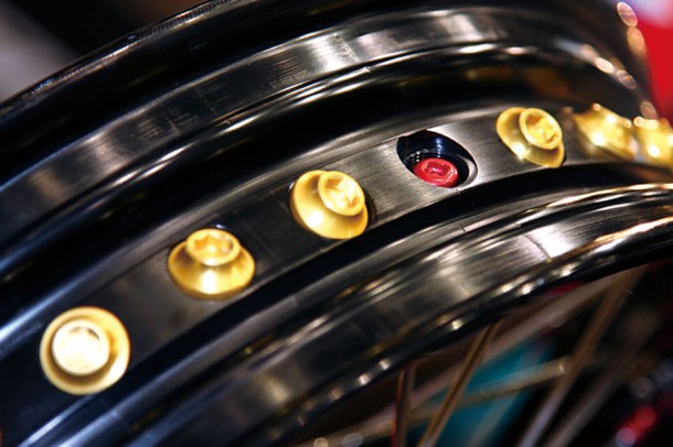 TGR_RIM