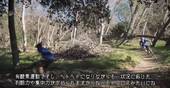 スクリーンショット 2016-06-10 20.07.44 のコピー