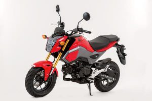 HONDA GROM